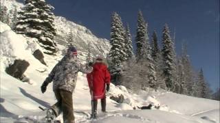 Jasper National Park ElkView Accommodation Jasper [upl. by Kipp]