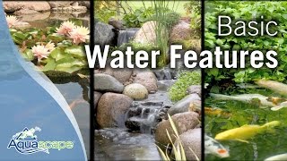 Aquascapes Basic Water Features [upl. by Saloma]