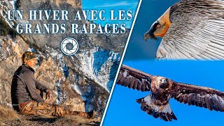 UN HIVER AVEC LES GRANDS RAPACES  PHOTOGRAPHIE ANIMALIÈRE [upl. by Andie160]