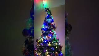 A Christmas tree is ready shortvideos shorts youtubeshorts christmastree [upl. by Nomannic]