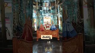 Venkanna darsanam 🙏ChintamaneniVlogs tranding devotational telugu [upl. by Dorman]