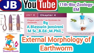 11th Bio Zoo 4 0rgan and Organ system in animals External Morphology of Earthworm [upl. by Avi]