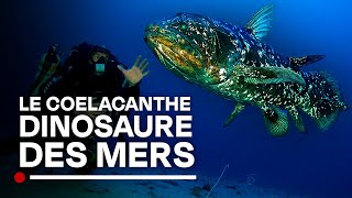 Le plus vieux poisson du monde  le Coelacanthe dinosaure des mers  Documentaire abysses HD [upl. by Maria351]