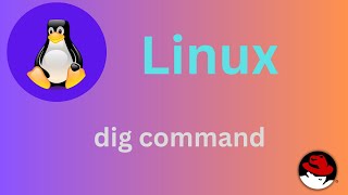 2450 Basic Linux Commands  dig command Explained shortsvideo linux linuxtutorial [upl. by Anivle]