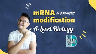 ALevel Biology  Understand mRNA modification in 3 minutes [upl. by Aneris60]