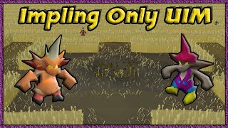 My Progress So Far  Impling Only UIM 1 [upl. by Kong]