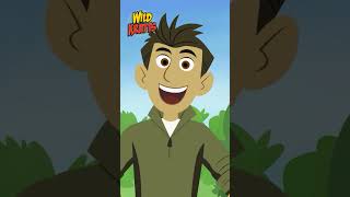 Activate Parotia Powers  Rescue Aviva from Donita  Wild Kratts [upl. by Jeth]