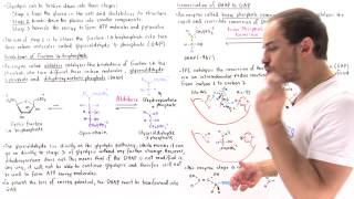 Stage 2 of Glycolysis Steps 45 [upl. by Rodnas]