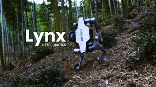 Extreme OffRoad  DEEPRobotics Lynx AllTerrian Robot [upl. by Yenmor]