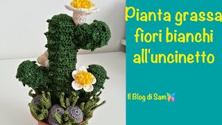 Spiegazione della pianta grassa alluncinetto con i Fiori bianchi [upl. by Winther]