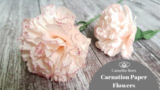 Carnation paper flower DIY How to make Carnation from crepe paper Easy [upl. by Seppala304]