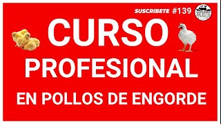 🟠ENGORDE POLLOS RÁPIDO Y SANOS EN 30 DÍAS 🧾 Con Este CURSO PROFESIONAL✏️ [upl. by Ranitta998]