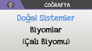 Doğal Sistemler  Biyomlar Çalı  İğne Yapraklı Orman  Tundra Biyomu [upl. by Tompkins]