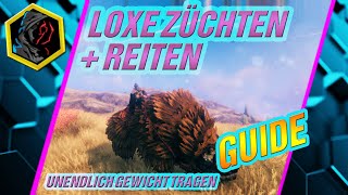 Valheim  Lox reiten amp züchten  Unendlich Gewicht tragen  Lox Guide 20  Guide  Deutsch [upl. by Aenit]