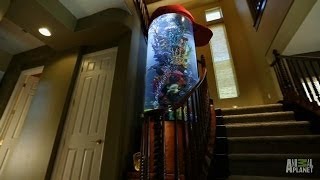 Shane Victorinos Baseball Cap Aquarium Revealed  Tanked [upl. by Atirrehs]