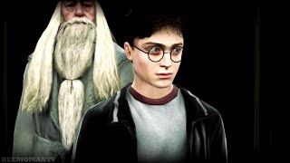 Harry Potter and the Half Blood Prince Harry Potter Summary [upl. by Dnumyar]