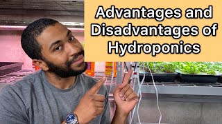 Advantages and Disadvantages of Hydroponics [upl. by Annavoj65]