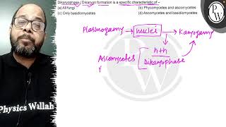 Dikaryophase  Dikaryon formation is a specific characteristic of  a All fungi b Phycomycet [upl. by Gherardo]