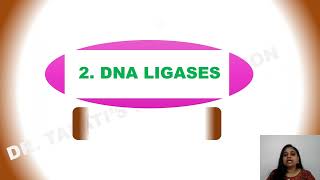 DNA Ligase  DNA Manipulative Enzymes [upl. by Lyle]