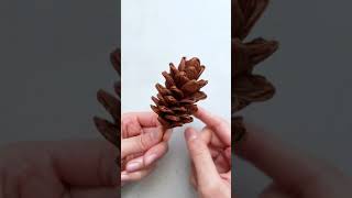 MAKE A SUPER EASY PINE CONE FOR THIS CHRISTMAS  No Template Needed   Shorts [upl. by Izmar440]