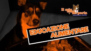 Educazione alimentare [upl. by Enyallij]