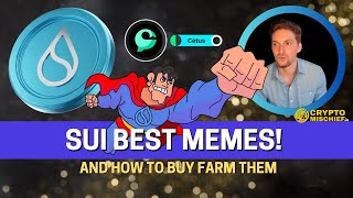 How to buy and Yield Farm 1000 APR SUI MEMECOINS [upl. by Anatnas121]