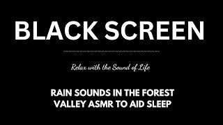 Rain Sounds in the Forest Valley ASMR to Aid Sleep with White Noise – Defeat LongLasting Insomnia [upl. by Lily]