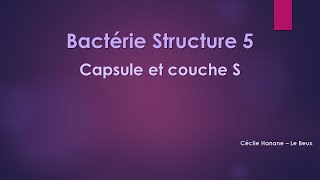 Bactérie Structure 5 CAPSULE et COUCHE S bactériennes sans musique de fond [upl. by Anilorak]