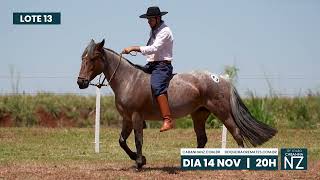 Lote 13  NZ UBALDINA  19º Leilão Virtual CABANHA NZ – 2024 [upl. by Diena937]