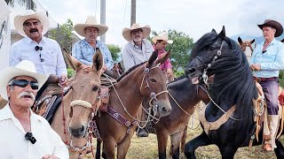 Cabalgata CON MULAS en OCONAHUA JALISCO [upl. by Oakie]