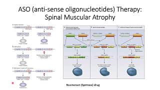 Nusinersen ASOAntiSense Oligonucleotide Therapy toward Spinal Muscular Atrophy SMA Code 198 [upl. by Arras943]