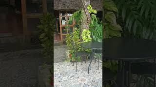 River Garden Resort Maragondon Cavite [upl. by Asyen]