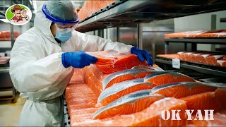 Discover the value farming and processing in factory of Atlantic Salmon  Farming Documentary [upl. by Ahsirat824]