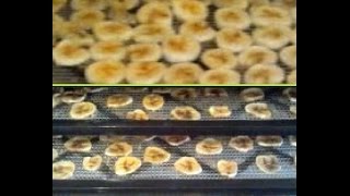 Banana chips Homemade in a food dehydrator not fried [upl. by Nyad]