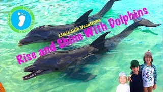 Little Life Vacations Rise and Shine with Dolphins [upl. by Shannon]