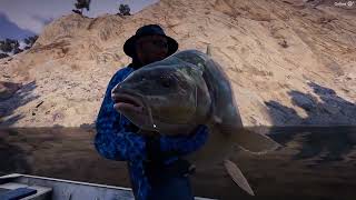 El Matador  Legendary  The Angler  120724 [upl. by Sidonnie685]