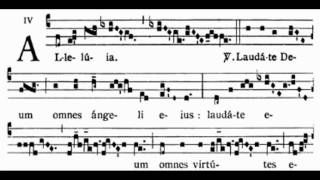 Laudate Deum 2nd Sunday in Ordinary Time Alleluia [upl. by Dempsey599]