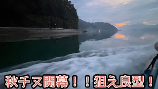 11 いろんな餌で釣り上げろ！！初めての佐波賀渡船！ [upl. by Antons696]