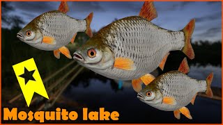 Russian Fishing 4 Mosquito lake  Komarówka Trophy spot roach RF4 44 [upl. by Bushore]