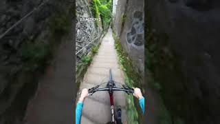 He keeps going on and on 🚲😲 DJI Action 2 🎬 Mtbtvarabic mtb downhill [upl. by Eyllek736]