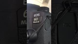 Canon EOS 6D Mark II（マーク2、6D2、6D mk2）の連写のシャッター音 [upl. by Eddy]