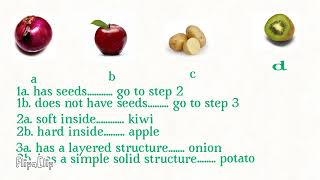 What is a dichotomous key EMS [upl. by Shere804]