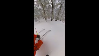 Today  Epic Terrain  My 7 Least Favorite Types of Fresh Patagonian Powder😆❄️ [upl. by Pomcroy335]