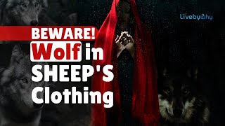 How to Identify a Wolf in Sheeps Clothing  The Wolf in Sheeps Skin  Spot Wolf in Sheeps Skin [upl. by Eiramadnil]