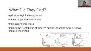 Mammalogy Journal Club Assignment [upl. by Anazraf]