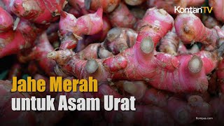 Cara Membuat Ramuan Jahe Merah untuk Mengobati Gangguan Asam Urat  KONTAN Info Sehat [upl. by Janela]