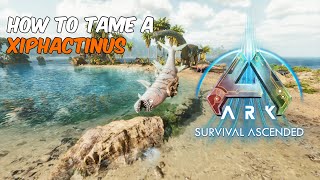 How to Tame A Xiphactinus in ARK Survival Ascended ark xiphactinus arksurvivalascended [upl. by Trilby589]