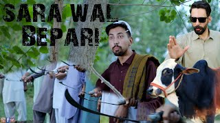 Sara wal Bepari  Buner Vines [upl. by Savina223]