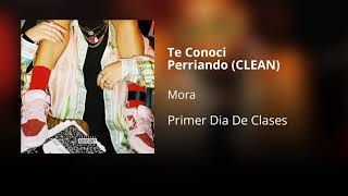 Te Conocí Perriando  Mora CLEAN  Versión no explícita [upl. by Avehstab]