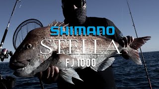 Shimano Stella FJ 1000  5 Day 20 lb Snapper Challenge  Day Four [upl. by Notsag]